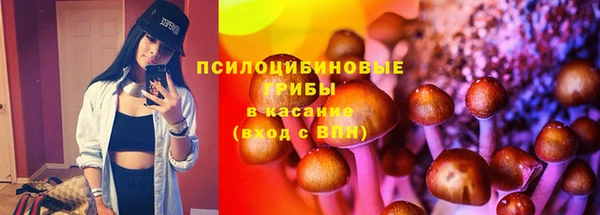 гашик Пестово