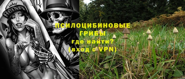 гашик Пестово