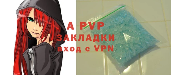 гашик Пестово