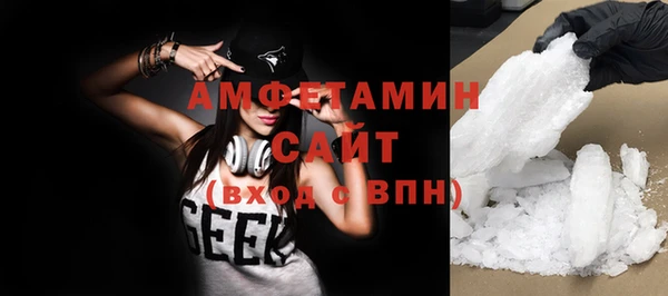 гашик Пестово
