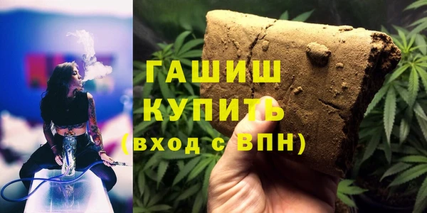 гашик Пестово