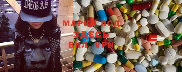 гашик Пестово