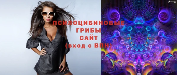 гашик Пестово