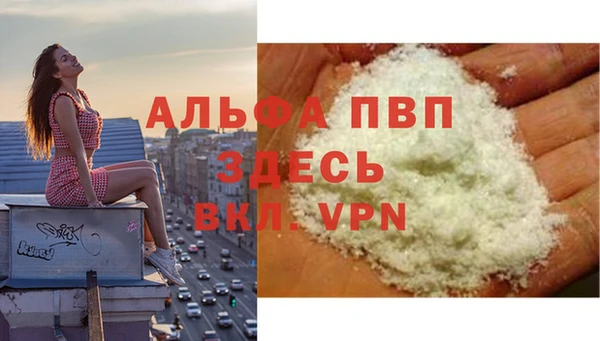гашик Пестово