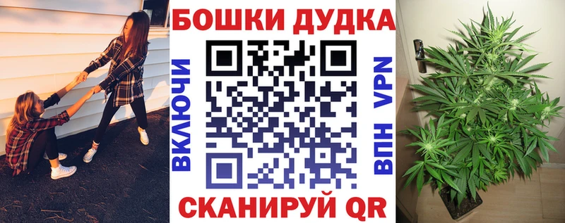 сколько стоит  гидра маркетплейс  Конопля план  Пудож 